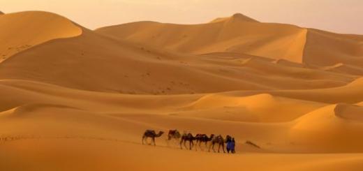 Kako nastanejo puščave.  Puščavsko naravno območje.  Glavne geografske značilnosti puščav sveta