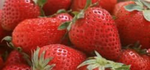 Основни правила за засаждане и грижи за ремонтантни ягоди на открито