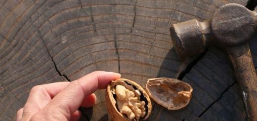 Hazelnuts እና Walnutsን በቀላሉ እና ያለልፋት እንዴት ማላጥ እንደሚቻል