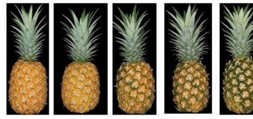 چگونه یک آناناس را به زیبایی برش دهیم